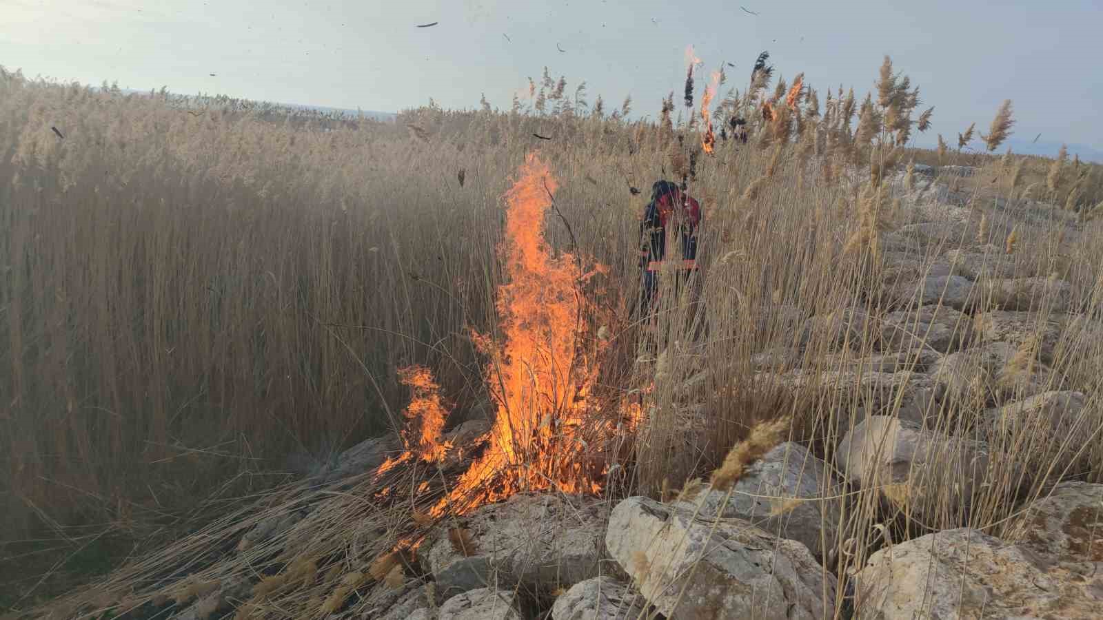 Van’da sazlık alanda yangın