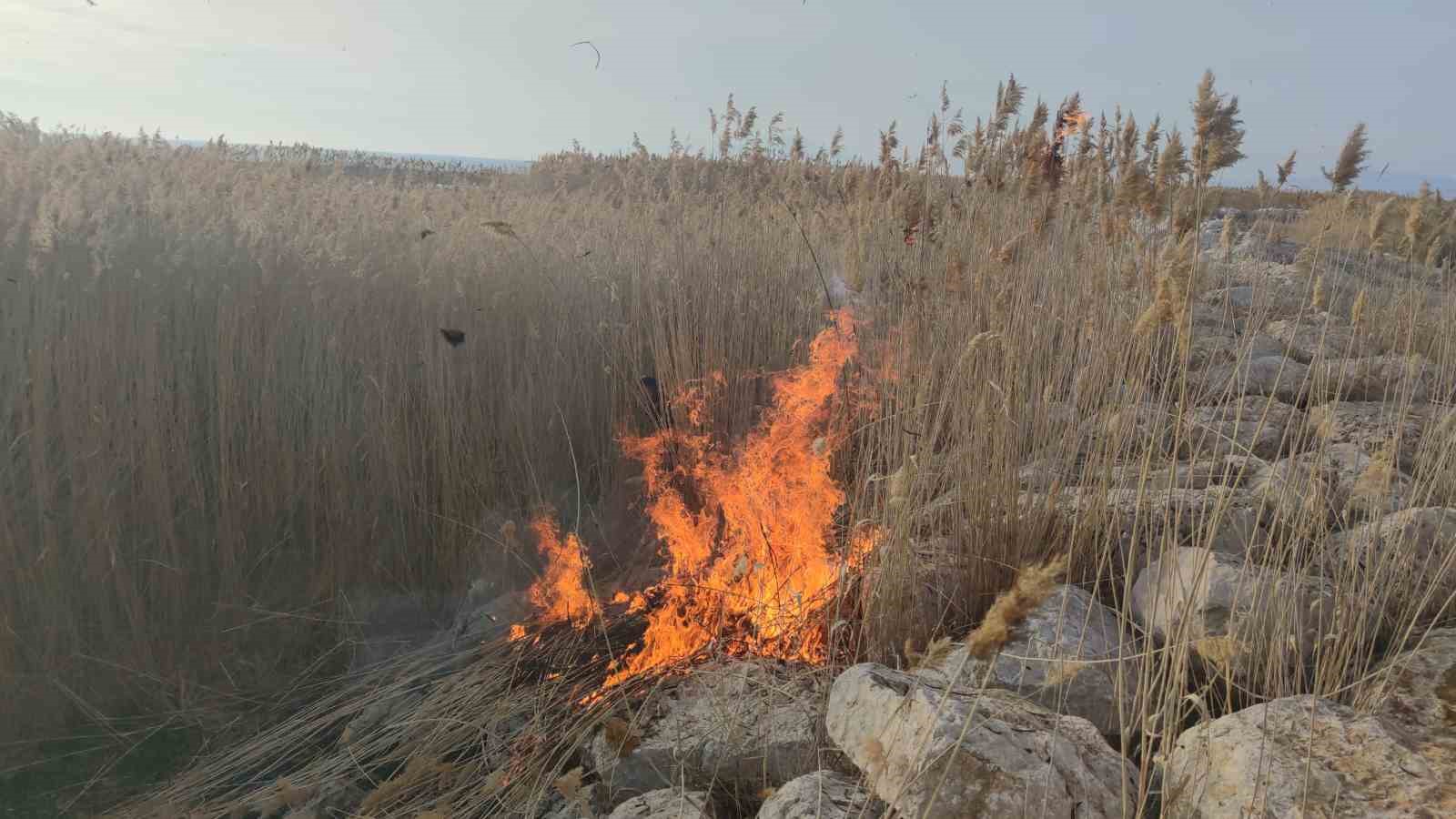 Van’da sazlık alanda yangın