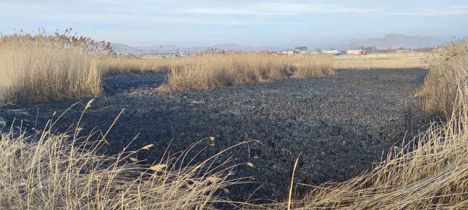 Van’da sazlık alanda yangın