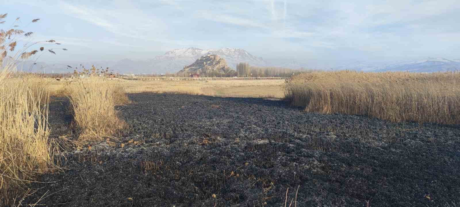 Van’da sazlık alanda yangın