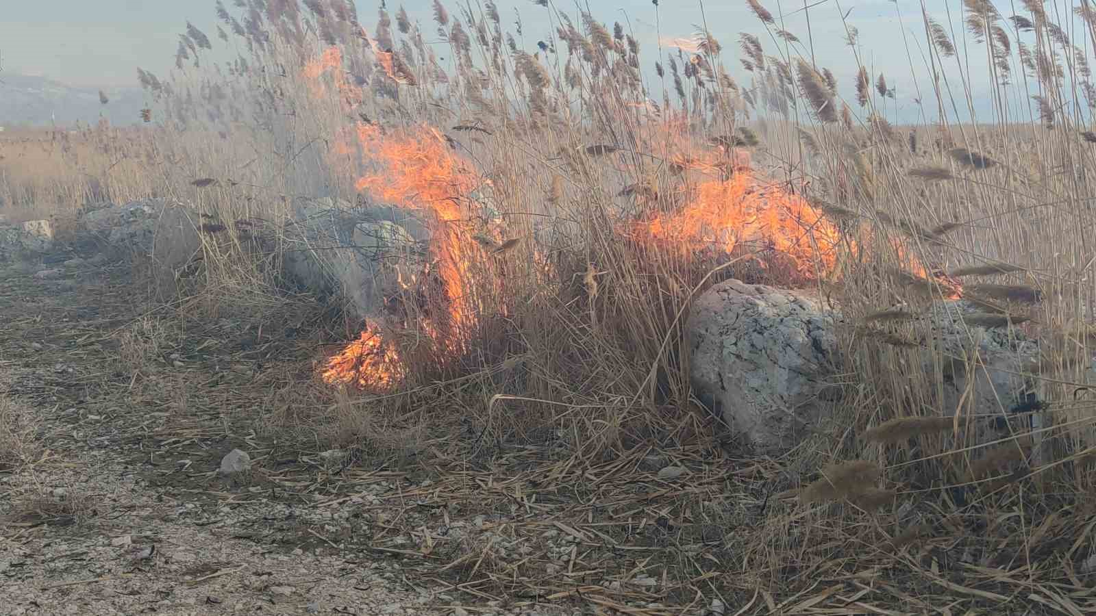 Van’da sazlık alanda yangın