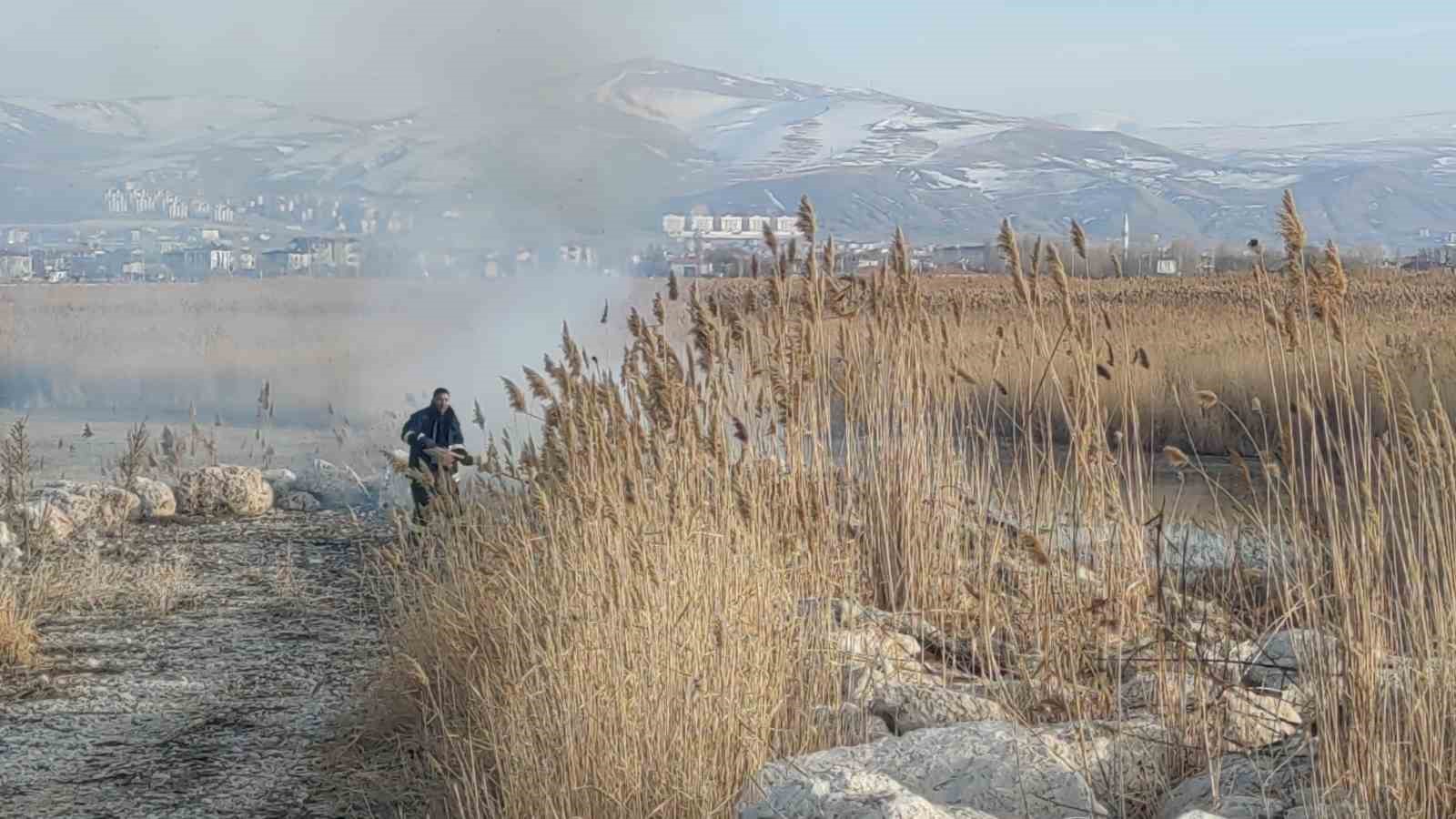 Van’da sazlık alanda yangın