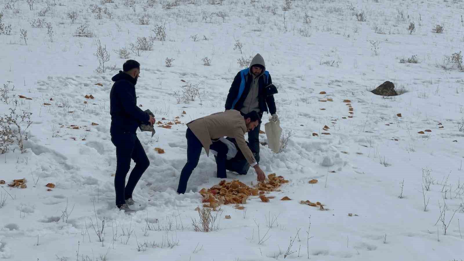 Muradiyeli gönüllüler yaban hayvanlarını unutmadı