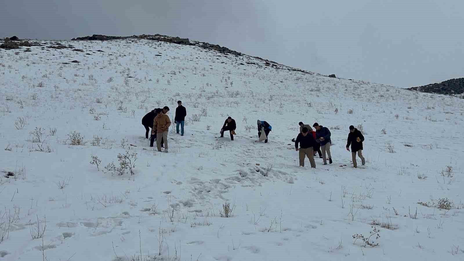 Muradiyeli gönüllüler yaban hayvanlarını unutmadı