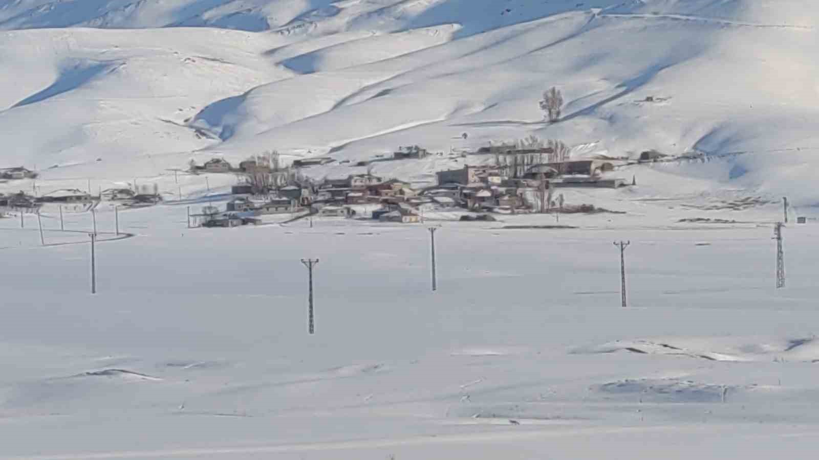 Van’da aç kalan tilkiler yerleşim yerlerine indi