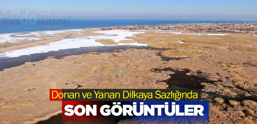 Donan ve Yanan Dilkaya Sazlığında Son Görüntüler