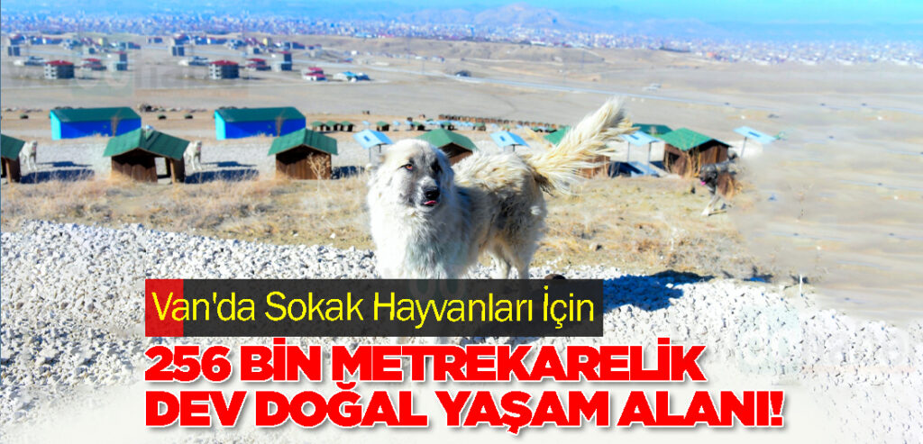 Van'da Sokak Hayvanları İçin 256 Bin Metrekarelik Dev Doğal Yaşam Alanı!