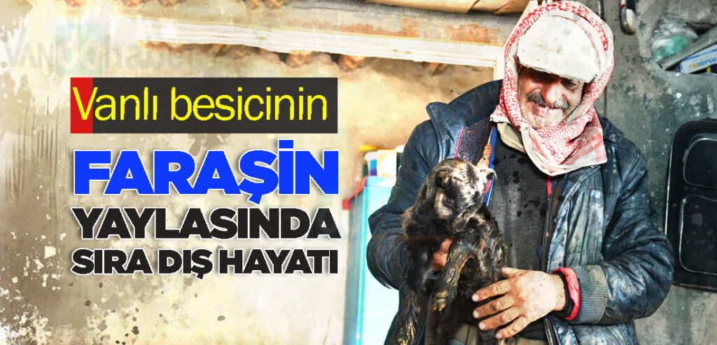 Vanlı besicinin Faraşin Yaylası’nda sıra dış hayatı