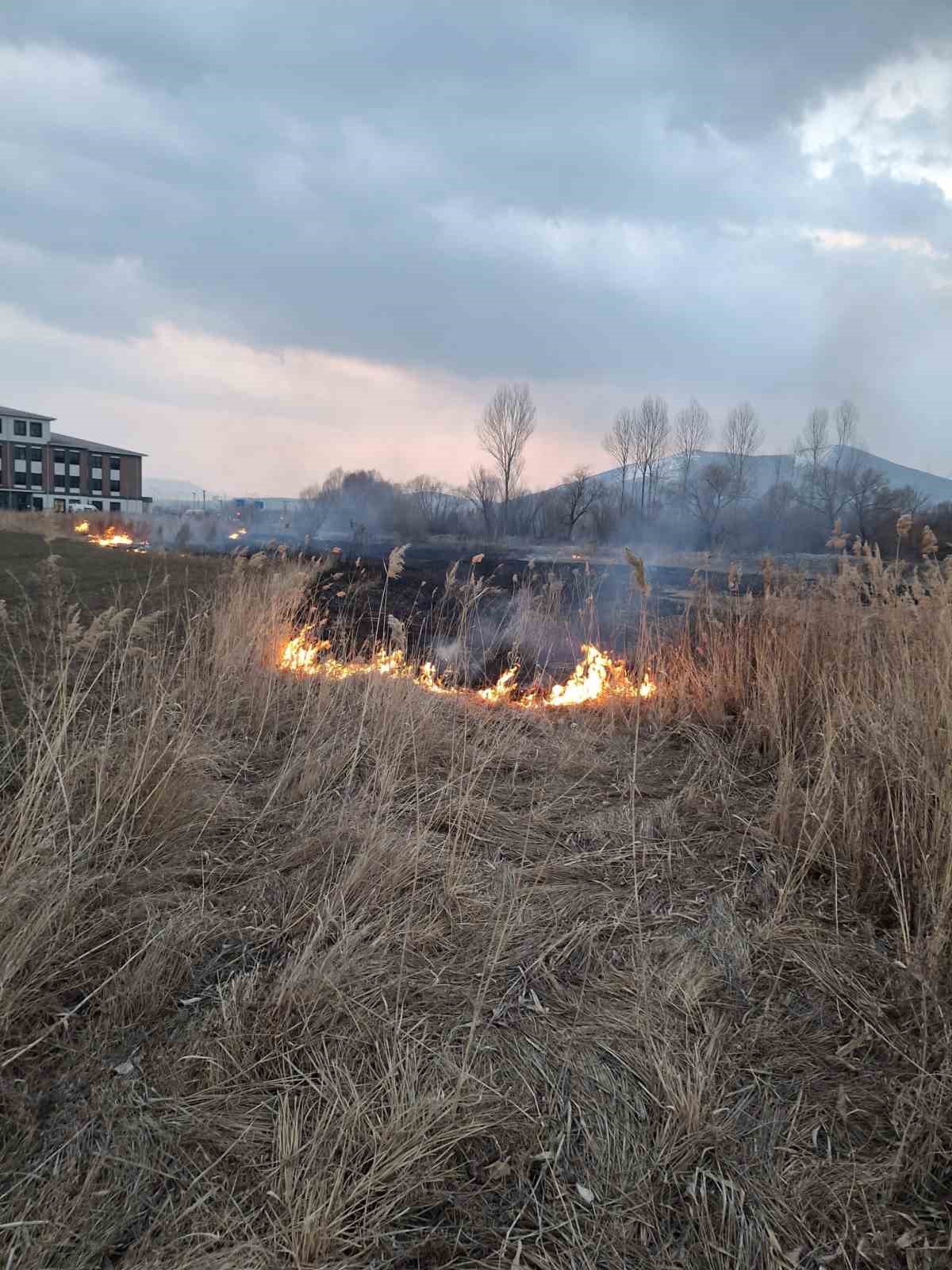 Van’da sazlık alanda yangın